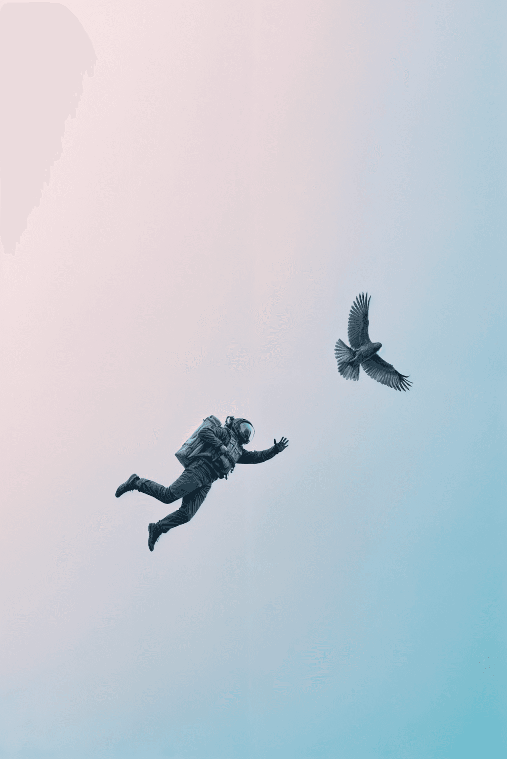 Astronaut falling through a pastel sky next to a flying hawk